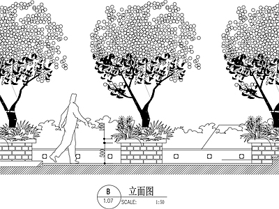 标准树池立面图 施工图