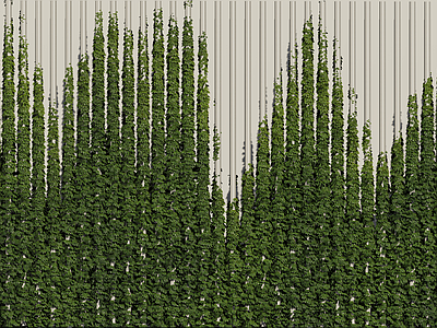 png免扣绿植墙 牵引绿植