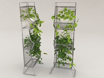 绿植 绿萝 植物 盆栽 植物架