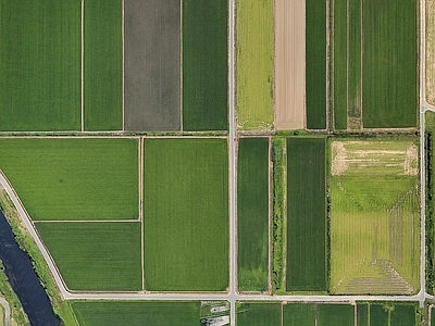 超写实农图 4K 实景 自然元素