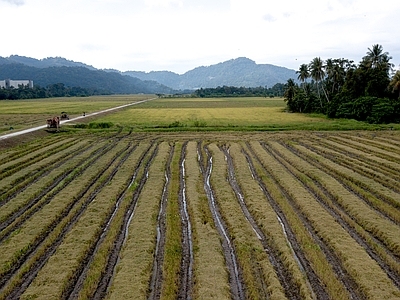 农田人视角土地天空 自然元素