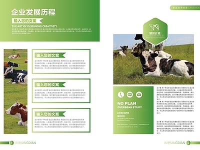 企业发展历程