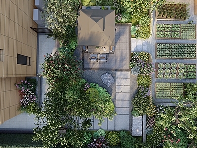 现代果蔬庭院