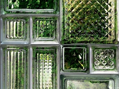 植物玻璃砖