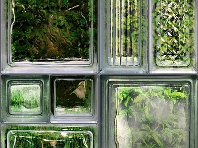 植物玻璃砖