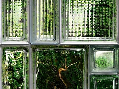 植物玻璃砖