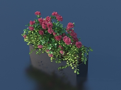 现代花箱 花盆 植物