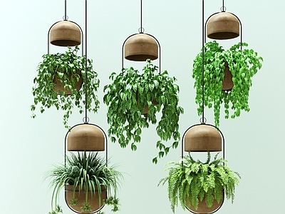 植物吊灯 吊篮 个性吊灯