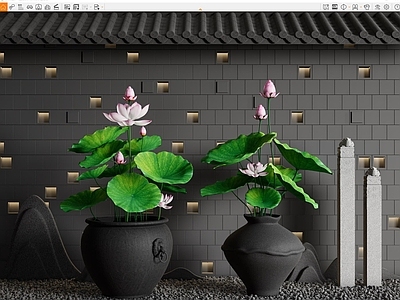 荷花水景 水缸 水生 拴马桩