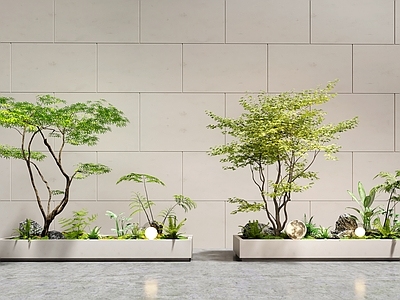 植物堆 植物组合 植物造景