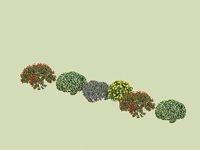绿植 灌木 花草