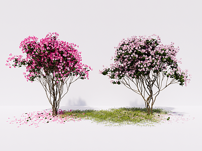 丛生杜鹃花 庭院景观树 映山红 花草 花卉