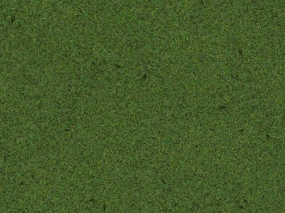 草坪植物墙