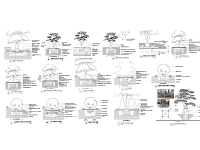 植物标准种植图 施工图