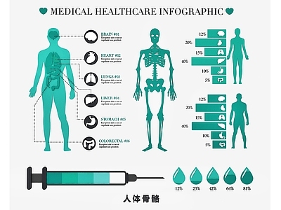 现代人体器官扁平插画 骨骼 血管 心肝肺胃肾 医学构造图 说明图