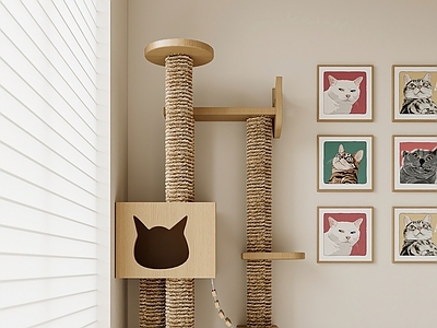 现代猫室