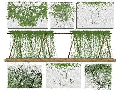 爬藤植物 爬山虎 植物墙 垂直绿化 绿篱 绿植墙 藤蔓