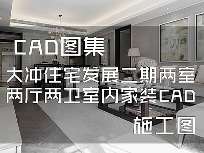 现代简约大冲住宅发展二期两室一厅两卫室内家装 施工图 平层