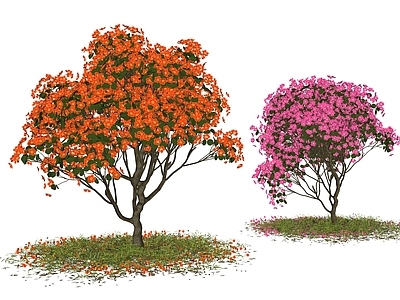 杜鹃花 植物花草 灌木 庭院景观树 小乔木 景观花树