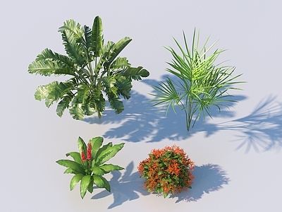 花草 植物 灌木
