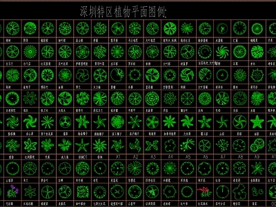 深圳特区植物平面图例及对应植物学名 施工图