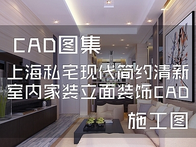 现代简约清新上海私宅室内家装立面装饰 施工图 平层