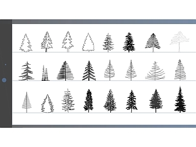 24个高品质针叶树立面图块 施工图