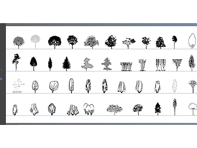 43个高品质树木立面图块 施工图