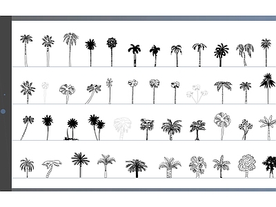 45个高品质棕榈树立面图块 施工图