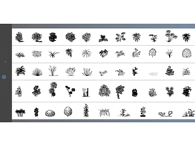 54个高品质植物立面图块 施工图