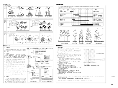 绿化种植设计说明 施工图