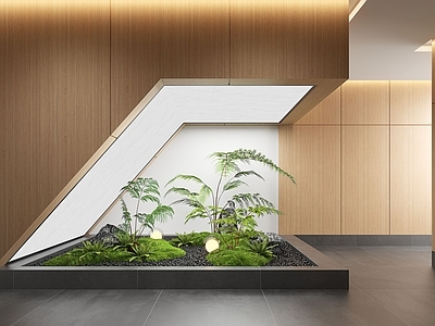 现代室内景观造景 小品 植物 室内 室内造景 苔藓植物