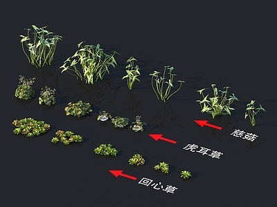 花草组合