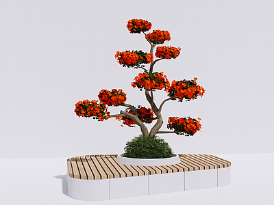 植物灌木 杜鹃 造型杜鹃 古桩杜鹃 树池 景观树