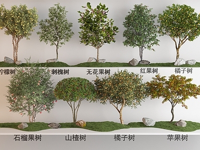 现代果树植物组合 柠檬树 刺槐 无花果树 石榴树 山楂树 橘子树 苹果树