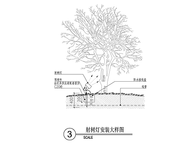 射树灯安装大样图 施工图