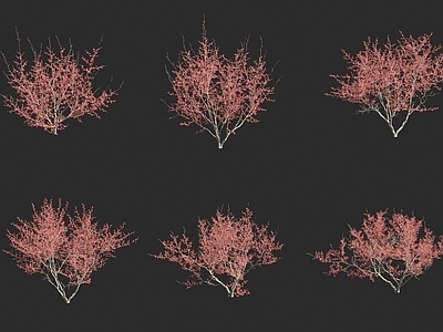花草组合
