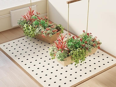 现代吊篮 花草组合
