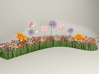 郁金香 鲜花 花田 郁金香花田