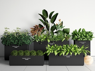 植物组合 绿植花箱 植物盆栽 植物堆 花池花坛