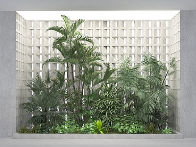 植物组合