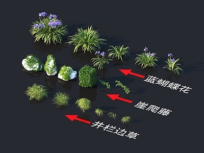 井栏边草 蓝蝴蝶花 崖爬藤 花草系列