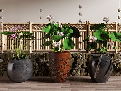新中式水缸 荷花缸 院墙围墙 石头墙 养鱼荷花水景 微景观 水生植物