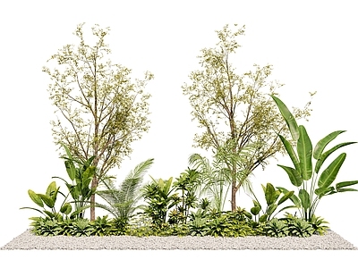 植物组合 风景 庭院 热带