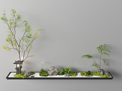 现代园林植物组合