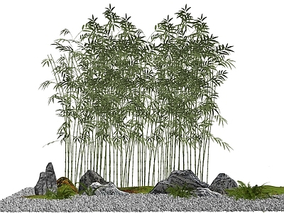 竹子 园林景观 竹排 景观竹 青竹 竹林 枯山水 园林小品 鹅卵石