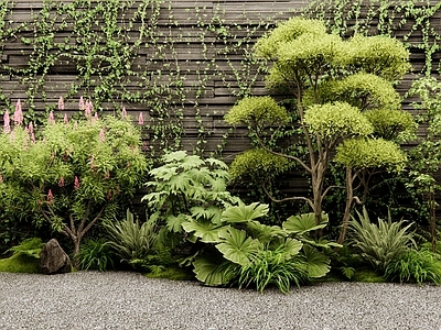 植物组合 植物堆 花境 藤爬植物 灌木 花草