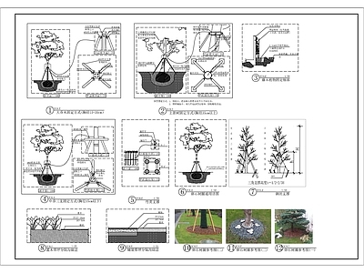 乔木藤本固定支撑详图 施工图