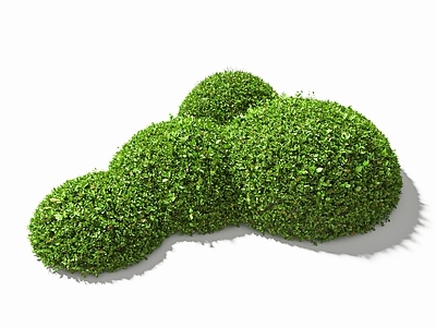 植物灌木
