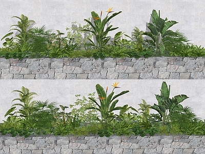 庭院植物组合 热带大叶植物组合